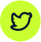 twitter social icon