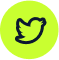 instagram twitter icon